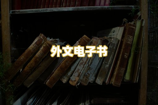 外文电子书